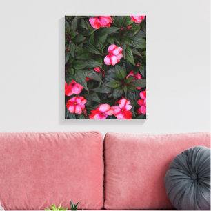 Impressão Em Tela Padrão de Flores Vibrantes Rosa de Impatiens da No