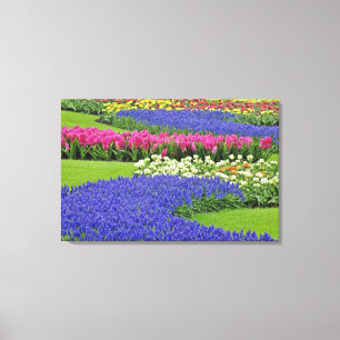 Impressão Em Tela Padrão de Hyacinth e flores da Tulip em Keukenhof