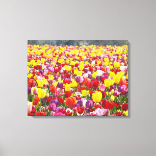 Impressão Em Tela Painéis de Tela de Tulipas da Primavera Arte Fina