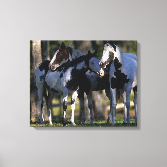 Impressão Em Tela Paint Horses (Frente)