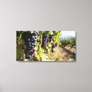 Impressão Em Tela País do Vinho da Califórnia