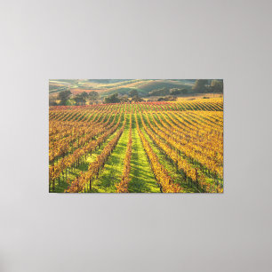 Impressão Em Tela País Vinho da Califórnia