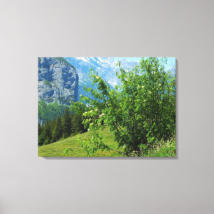 Impressão Em Tela Paisagem alpina