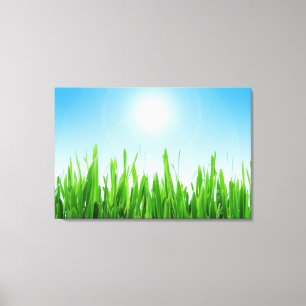 Impressão Em Tela Paisagem de grama verde céu azul-10826