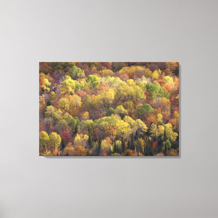 Impressão Em Tela Paisagem de outono, Vermont, EUA 2
