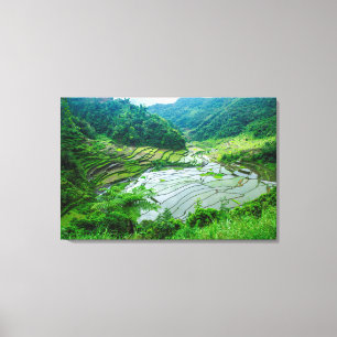 Impressão Em Tela Paisagem de terraço de arroz, Filipinas