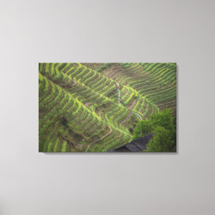 Impressão Em Tela Paisagem de terraços de arroz na montanha,