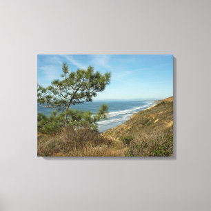 Impressão Em Tela Paisagem de Torrey Pine e Costa da Califórnia