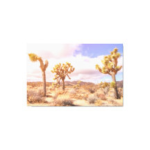 Paisagem Desértica das Árvores de Josué