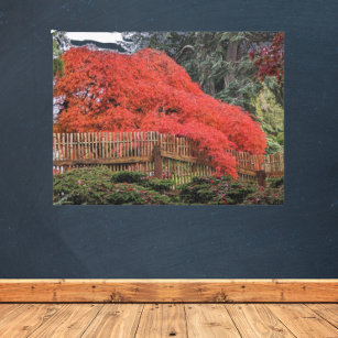 Impressão Em Tela Paisagem do Jardim Japonês do outono colorida