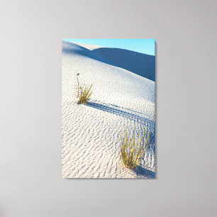 Impressão Em Tela Paisagem do Parque Nacional White Sands