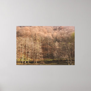Impressão Em Tela Paisagem Florestal de Outono - Natureza Selvagem R