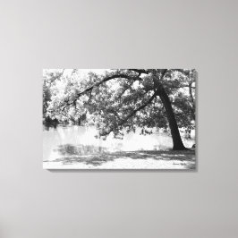 Impressão em Tela Paisagem Preto e Branco