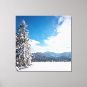 Impressão Em Tela Paisagem Sunny Winter de Snowdrifts