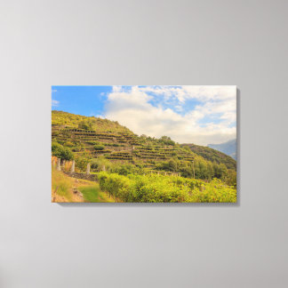 Impressão Em Tela paisagem vitivinícola de Carema em tela enrolada