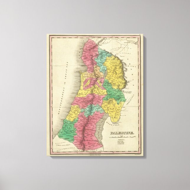 Impressão Em Tela Palestina (Frente)