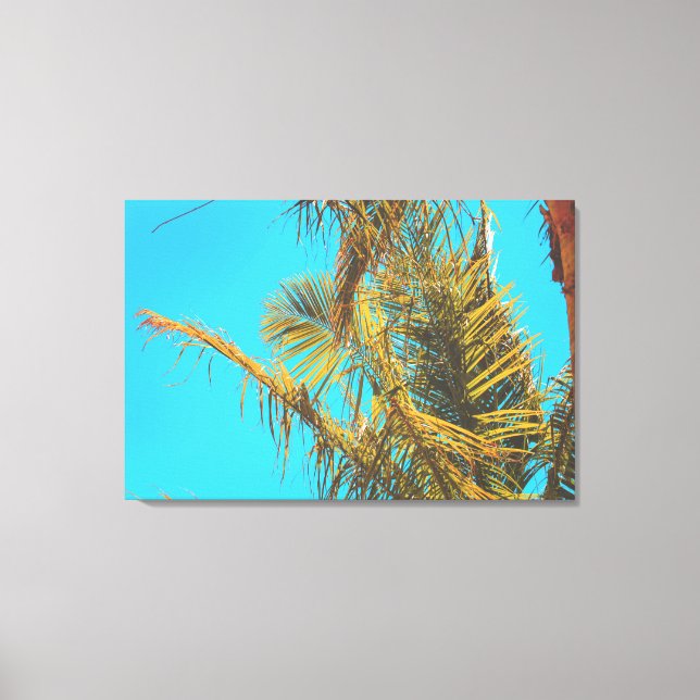 Impressão Em Tela Palm Tree Deixa Turquoise Sky (Frente)