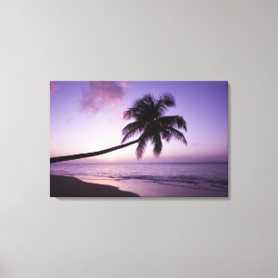 Impressão Em Tela Palmeira solitária ao pôr do sol, praia de Coconut