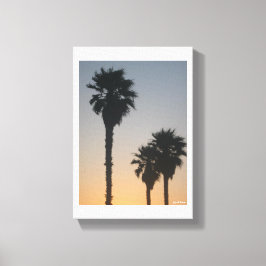 Impressão Em Tela Palmeiras Ao Sol