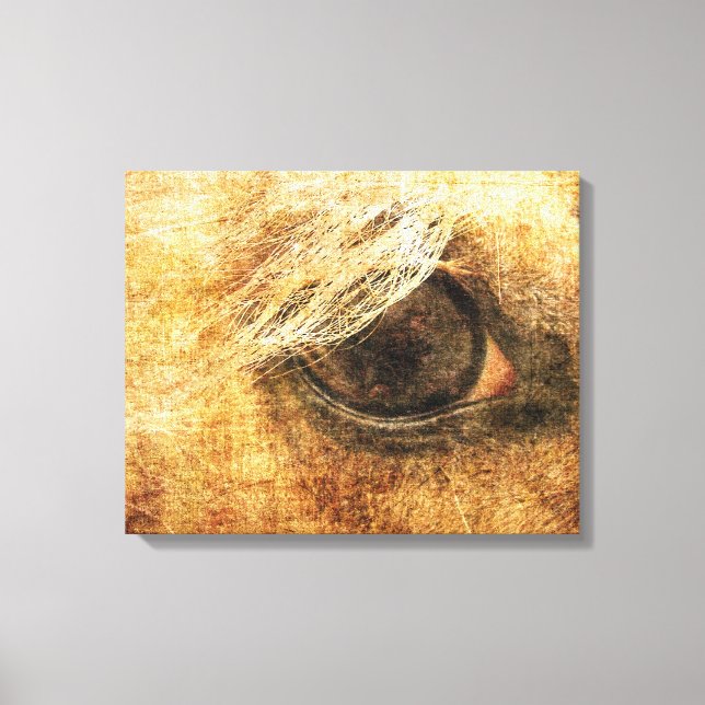 Impressão Em Tela Palomino Eye Grunge (Frente)