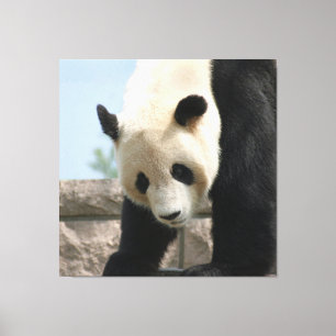 Impressão Em Tela Panda20170506_by_JAMFoto