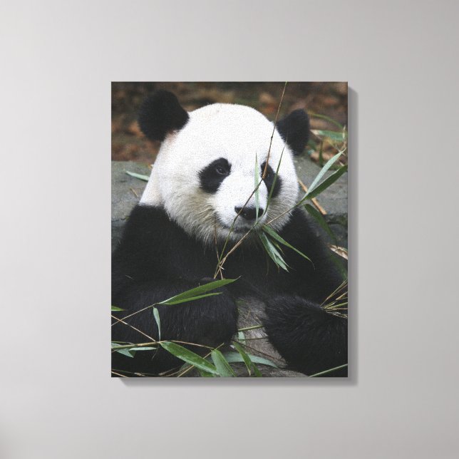 Impressão Em Tela Panda gigante (Frente)