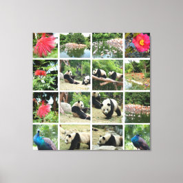 Impressão Em Tela Pandas da China, pavão, bandos de flamingo, flores