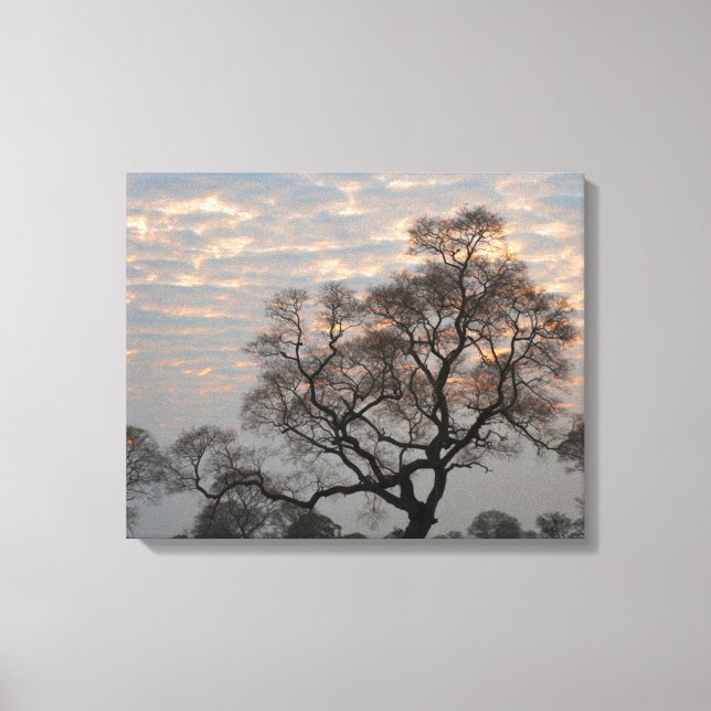 Impressão Em Tela Pantanal Wetlands | América do Sul, Brasil (Frente)