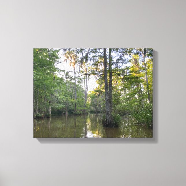 Impressão Em Tela Pântano da Louisiana (Frente)