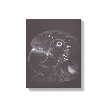 Papagaio - Desenho Original - Impressão de Tela