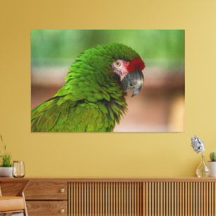 Impressão Em Tela Papagaio Macaw Vibrante na Vista de Perfis