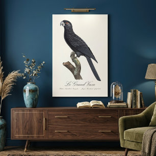 Impressão Em Tela Papagaio Vaza Maior