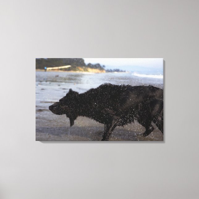 Impressão Em Tela Papais noeis Barbara, Califórnia, EUA 2 (Frente)