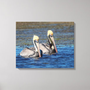 Impressão Em Tela Par 20x16 de Pelicanos