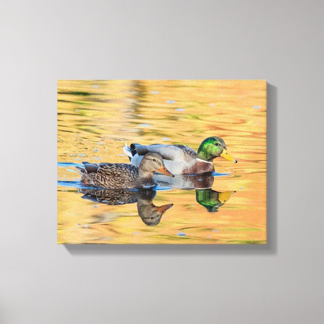 Impressão Em Tela Par de Mallards (Frente)