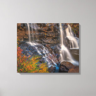 Impressão Em Tela Parque Estadual Blackwater Falls Virgínia Ociden