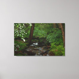 Impressão Em Tela Parque Estadual do Cavalo de Ferro