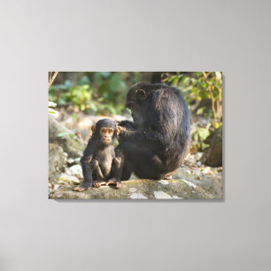 Impressão Em Tela Parque Nacional das Montanhas Mahale, Tanzânia