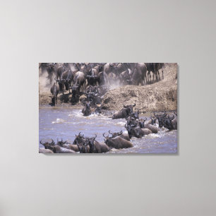 Impressão Em Tela Parque nacional de África, Kenya, Mara do Masai