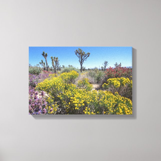 Impressão Em Tela Parque Nacional Joshua Tree Em Bloom (Frente)
