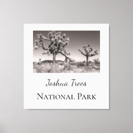 Impressão Em Tela Parque Nacional Joshua Trees