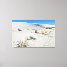 Impressão Em Tela Parque Nacional White Sand