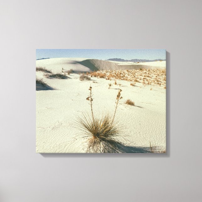 Impressão Em Tela Parque Nacional White Sands (Frente)
