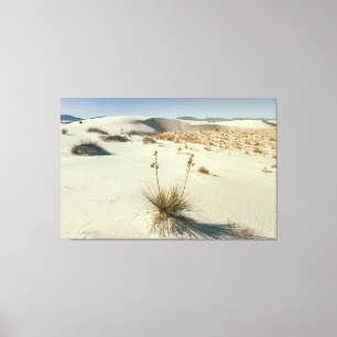 Impressão Em Tela Parque Nacional White Sands