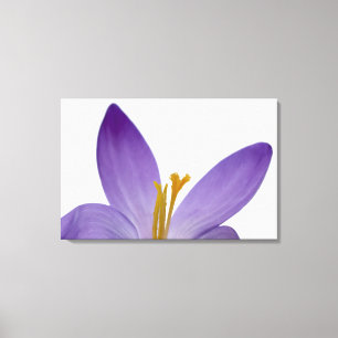 Impressão Em Tela Partes da flor do açafrão