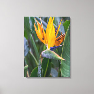 Impressão Em Tela Pássaro da tela de visualização das flores do Para