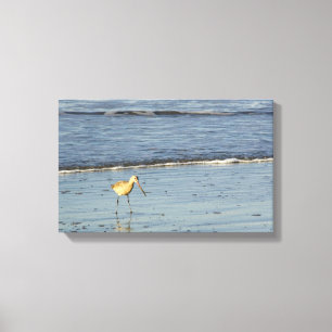 Impressão Em Tela Pássaro do Mar 4