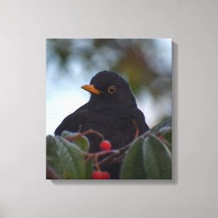 Impressão Em Tela Pássaro Negro