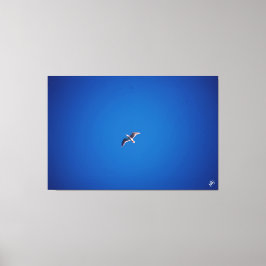 Impressão Em Tela Pássaro no Céu #2