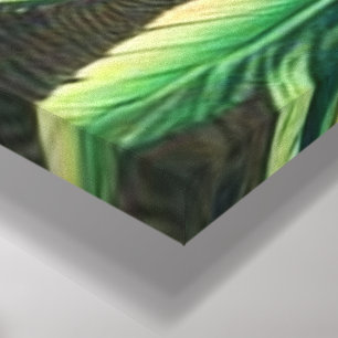 Impressão Em Tela Pássaro Tropical na Selva Verde Lush